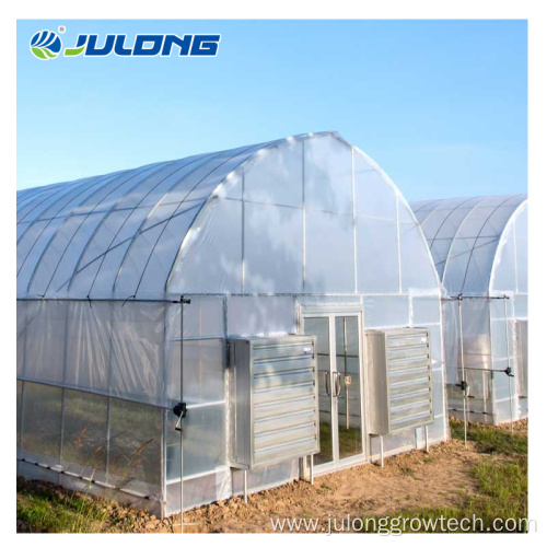 low cost vegetable greenhouses for sale